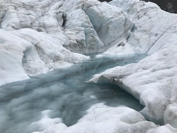 紐西蘭南島│Fox Glacier VS. Franz Josef&nbsp;冰川健行