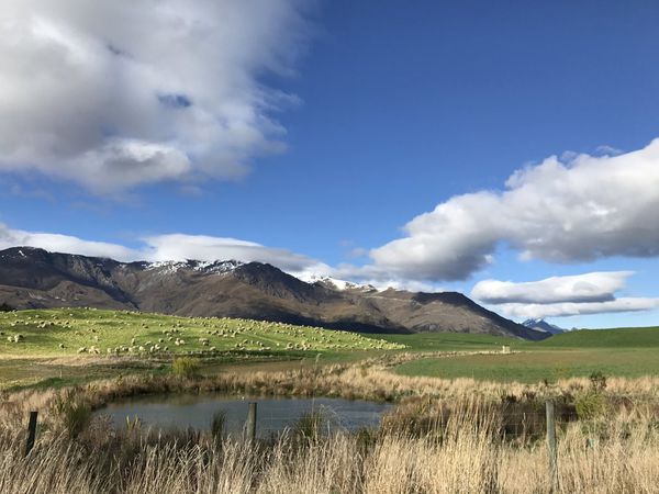 紐西蘭南島│最美公路在這！Queenstown皇后鎮景點、美食