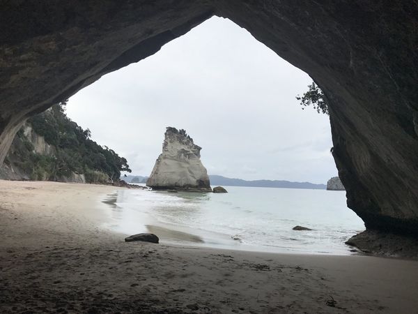 紐西蘭北島│Cathedral Cove教堂灣＆Hot Water&nbsp;Beach海灘溫泉？！