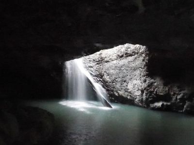 澳洲黃金海岸│春溪國家公園賞瀑布、藍光蟲一日遊