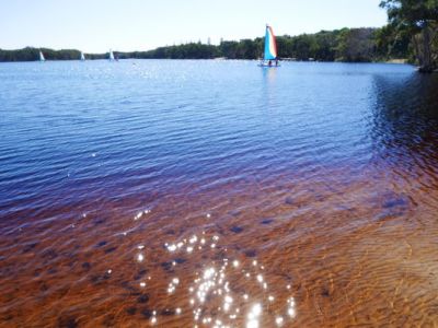 澳洲│黃金海岸一路玩到新南威爾斯州景點攻略