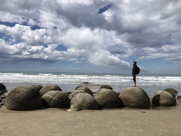 紐西蘭南島│但尼丁-Oamaru景點 免費近距離賞野生海豹、黃眼企鵝