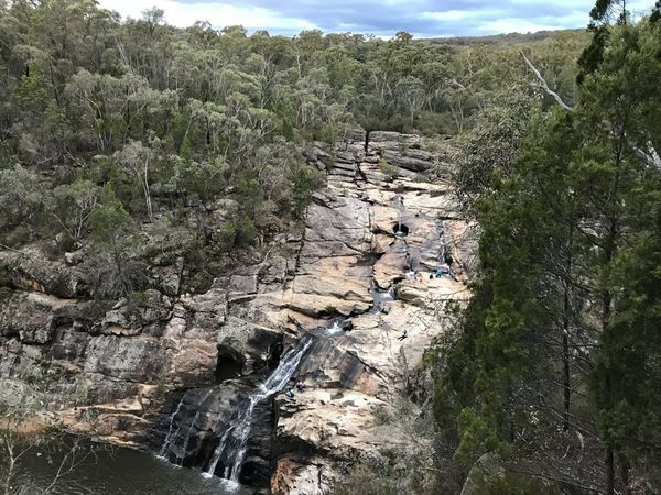 維州淘金小鎮之一│Beechworth探險鬧鬼精神病院