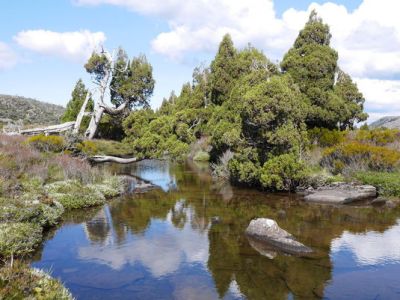塔斯馬尼亞│壁畫小鎮、塔斯迷宮、一日健行步道景點推薦