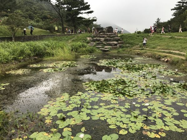 陽明山一日健行│大屯主峰-連峰步道