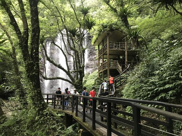 北部一日健行│滿月圓國家森林步道