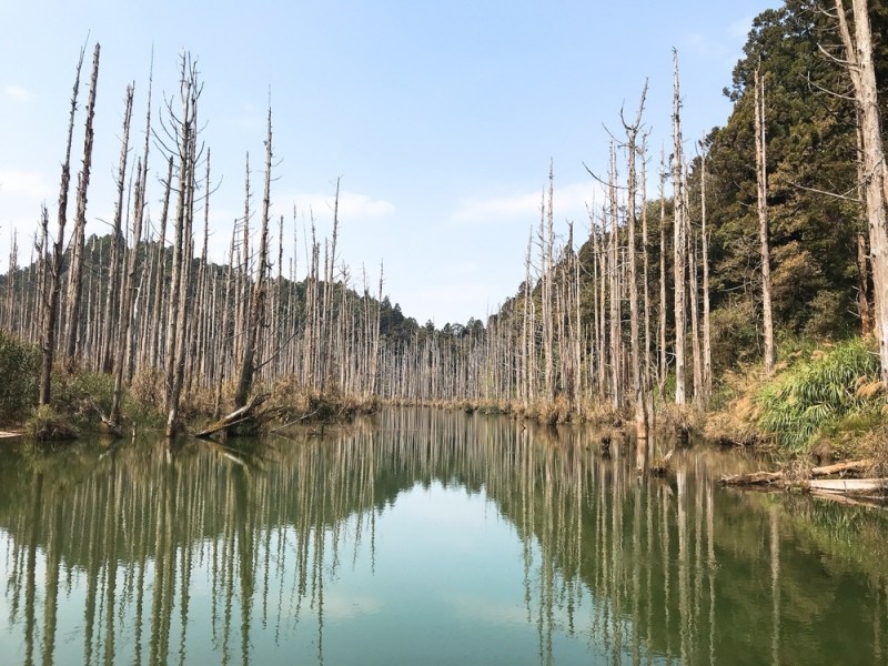 絕美湖畔野營！南投杉林溪【水漾森林】兩天一夜│登山新手入門