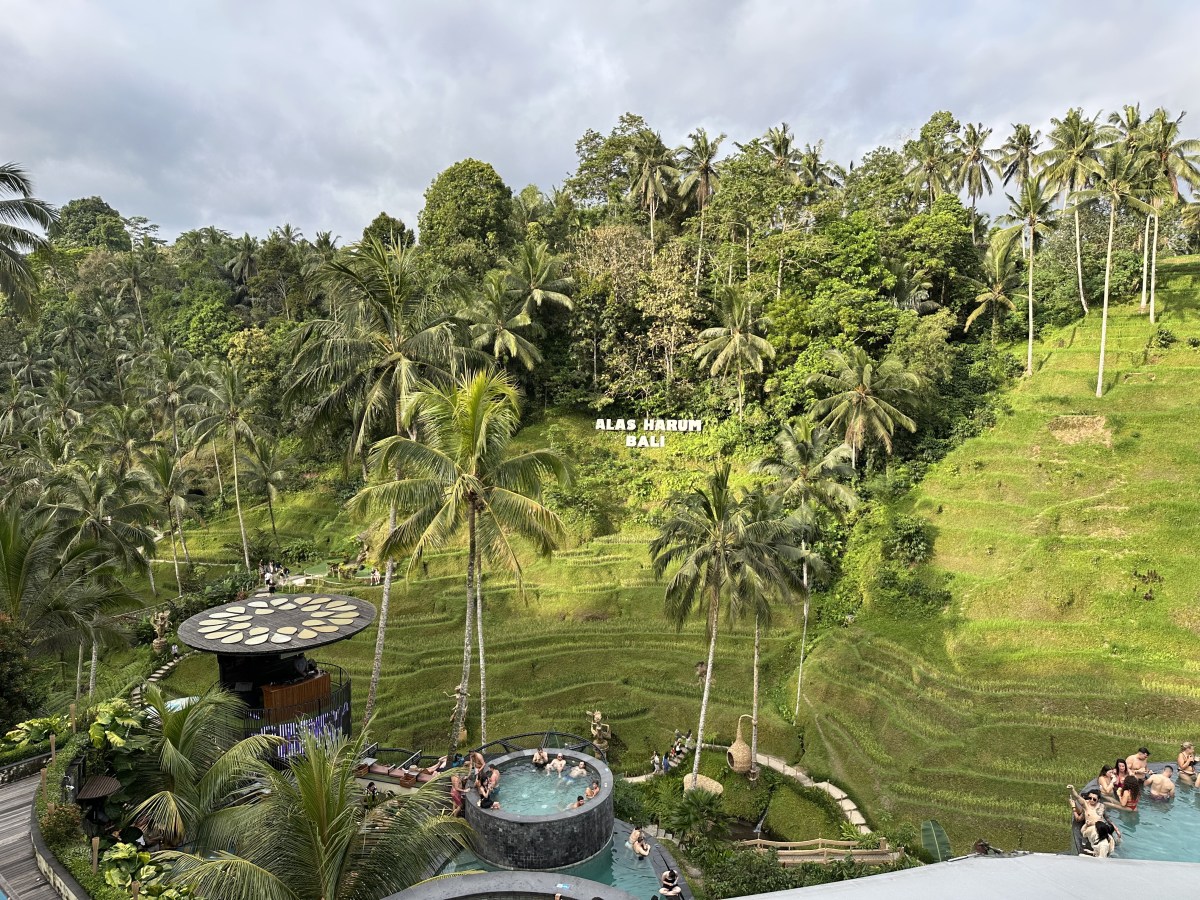 印尼峇里島烏布自由行｜美食、景點、住宿一次收藏，第一次來絕對會愛上！